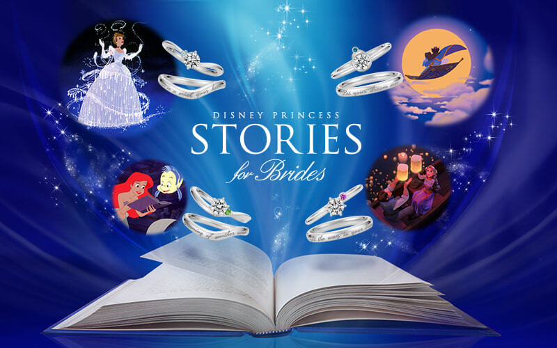 Disney Princess Stories BANNER